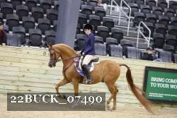 22BUCK_07490 proof