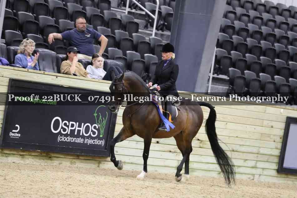 Proof 22BUCK_07491