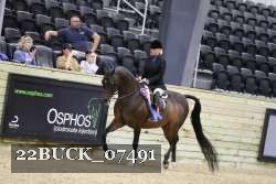 22BUCK_07491 proof