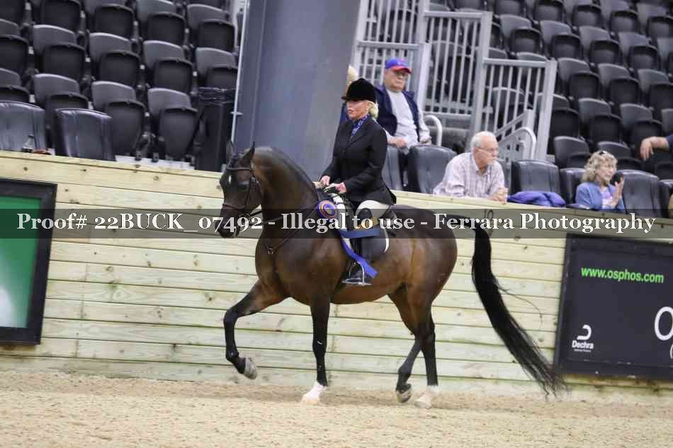 Proof 22BUCK_07492