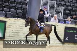 22BUCK_07492 proof