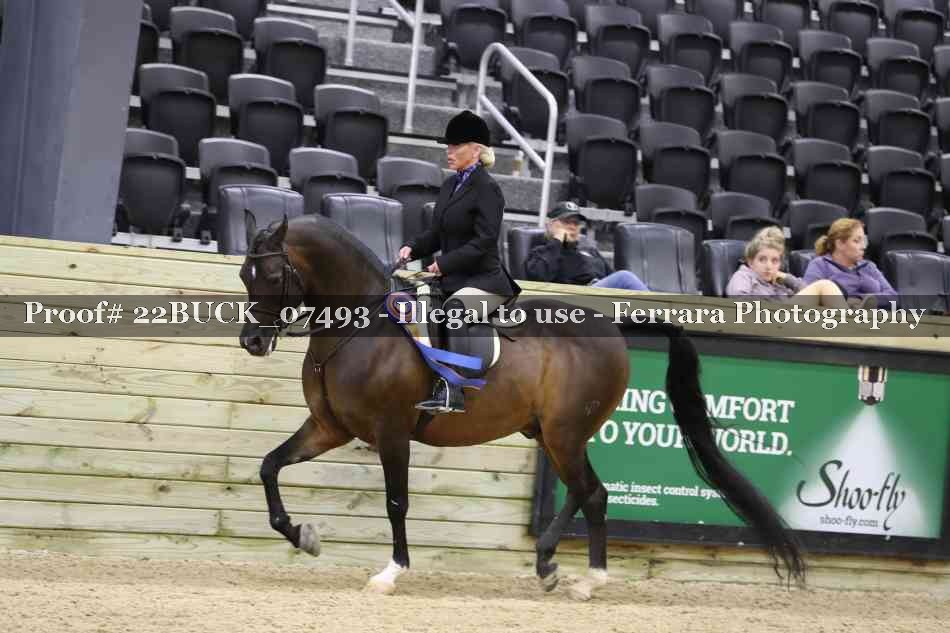 Proof 22BUCK_07493