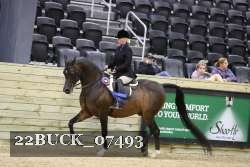 22BUCK_07493 proof
