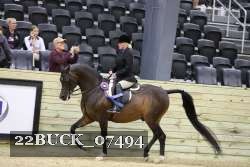 22BUCK_07494 proof