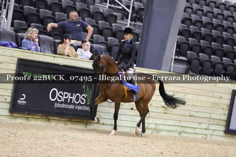 Proof 22BUCK_07495