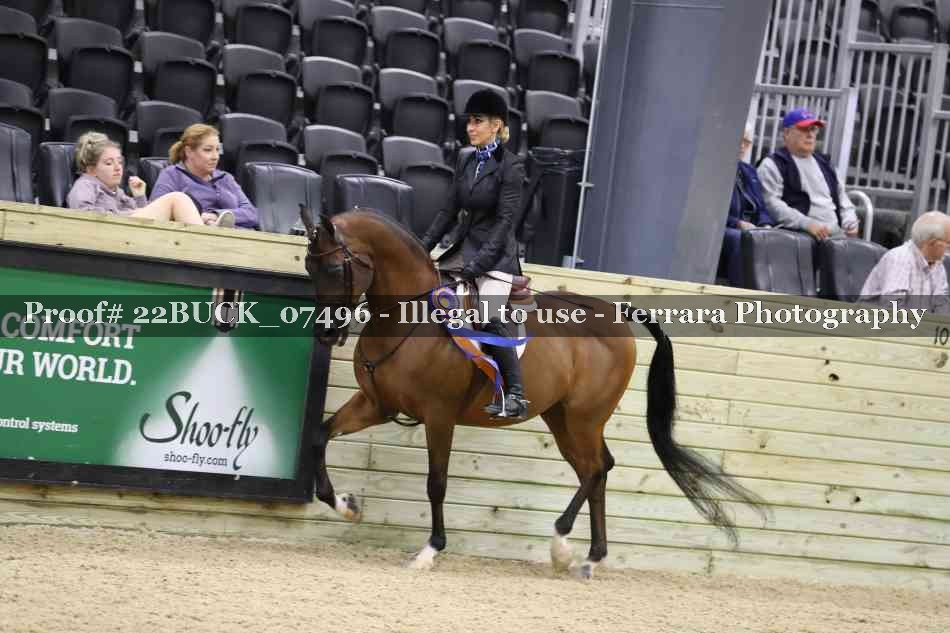 Proof 22BUCK_07496