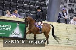 22BUCK_07496 proof