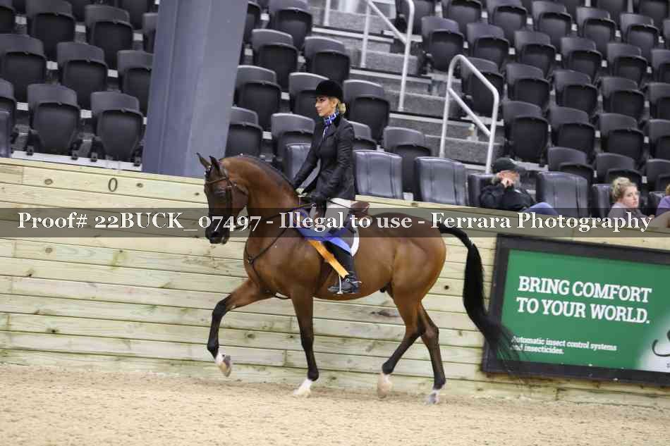 Proof 22BUCK_07497