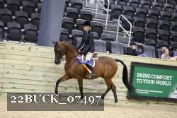 22BUCK_07497 proof