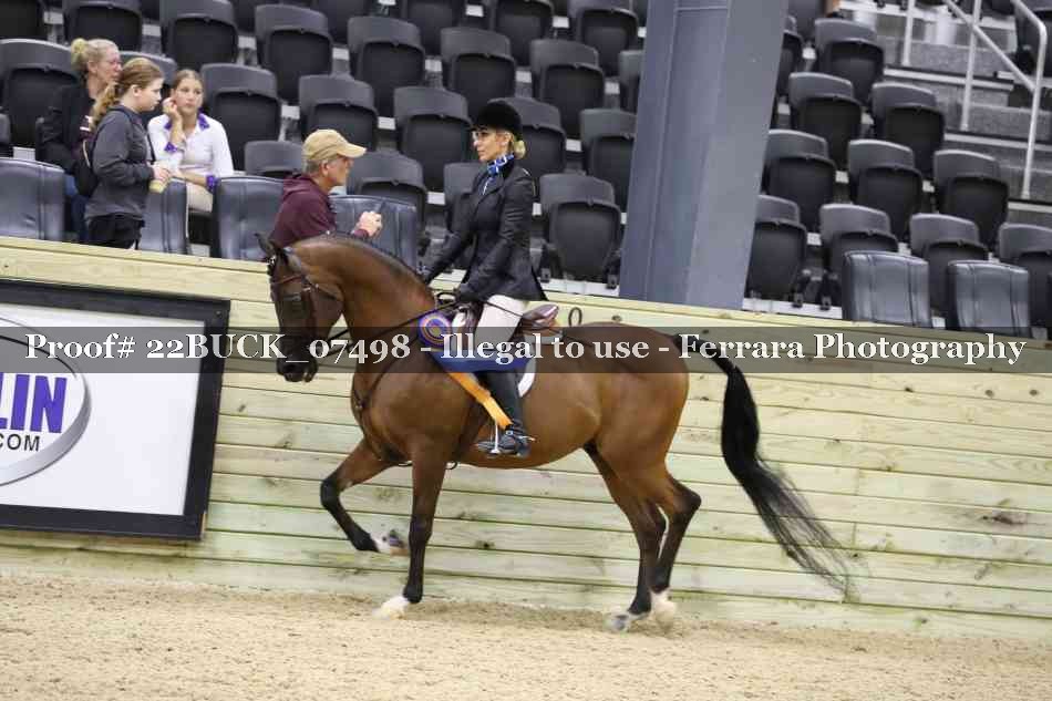Proof 22BUCK_07498