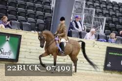 22BUCK_07499 proof