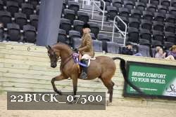 22BUCK_07500 proof