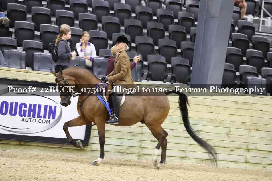 Proof 22BUCK_07501