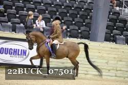 22BUCK_07501 proof