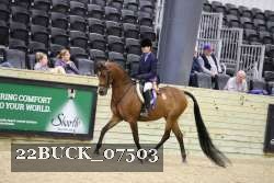22BUCK_07503 proof