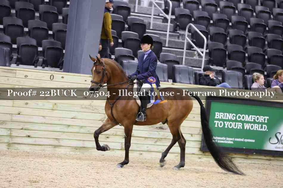 Proof 22BUCK_07504
