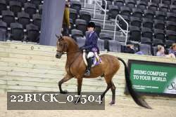 22BUCK_07504 proof