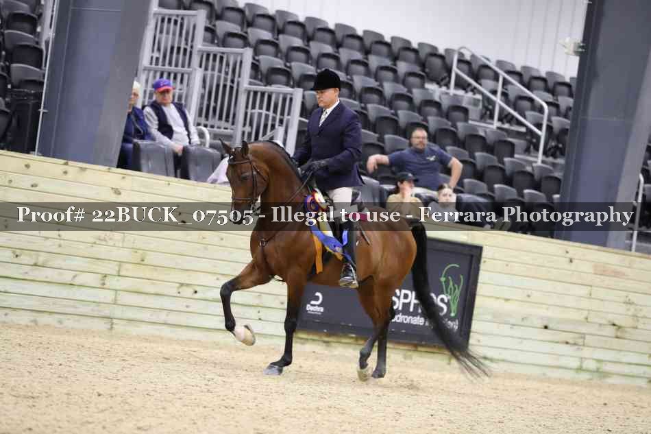 Proof 22BUCK_07505