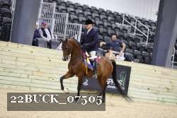 22BUCK_07505 proof
