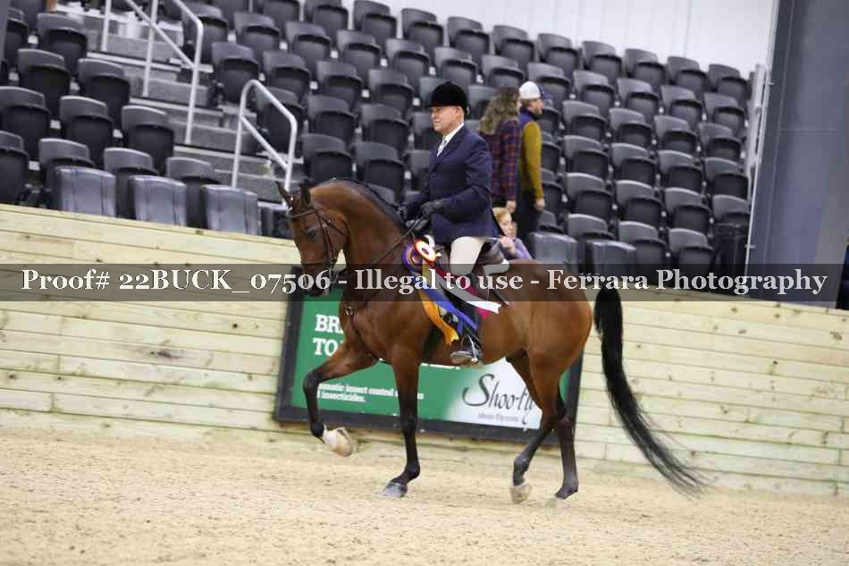Proof 22BUCK_07506