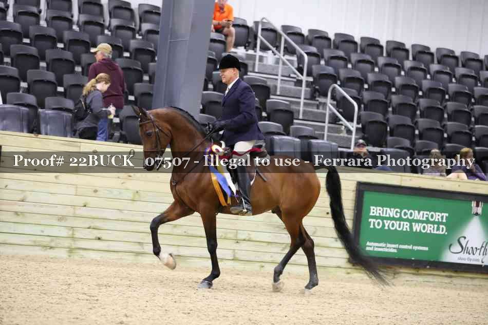 Proof 22BUCK_07507
