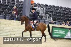 22BUCK_07507 proof