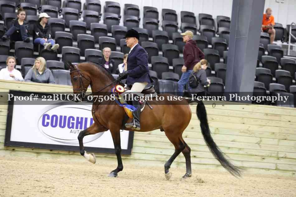 Proof 22BUCK_07508