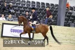 22BUCK_07508 proof