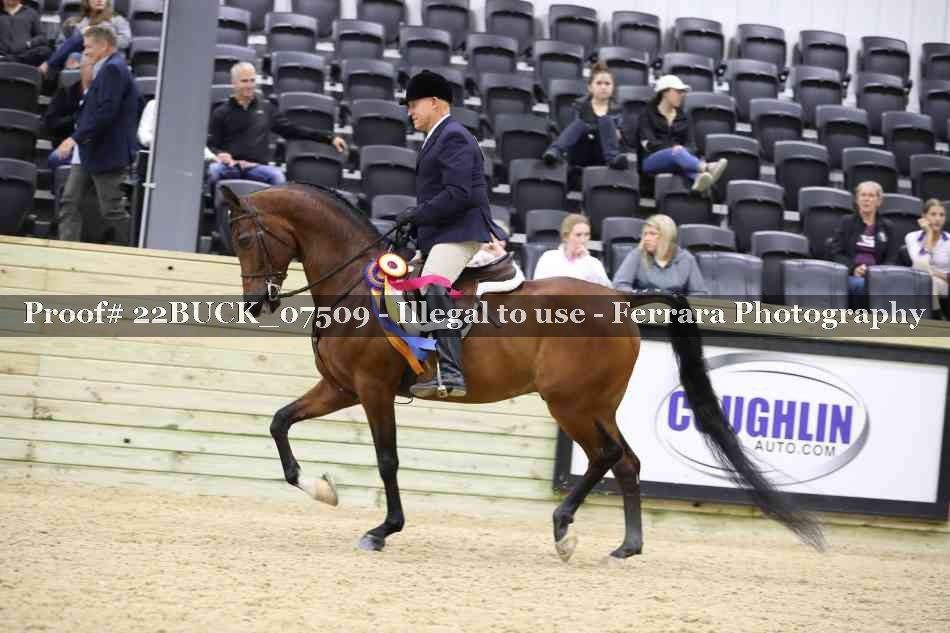 Proof 22BUCK_07509