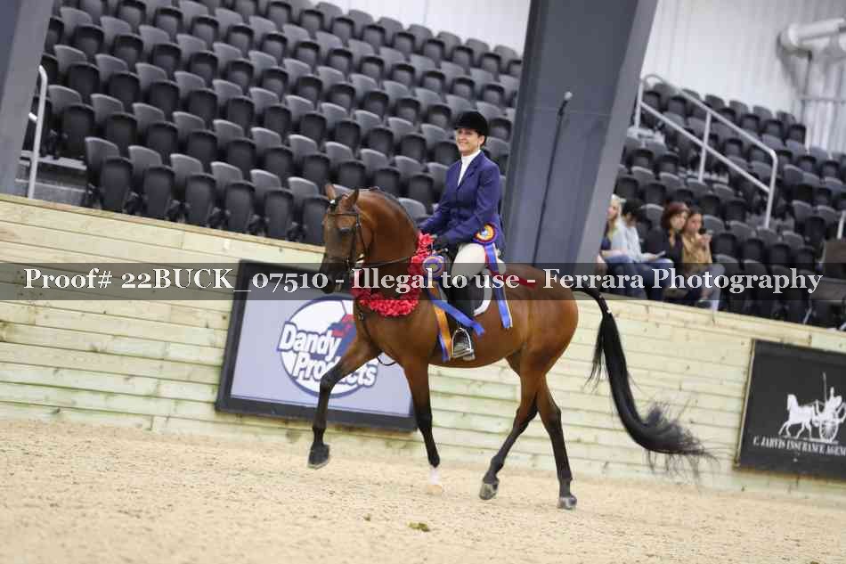 Proof 22BUCK_07510