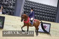 22BUCK_07511 proof