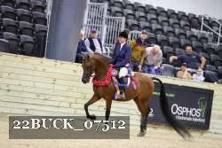 22BUCK_07512 proof