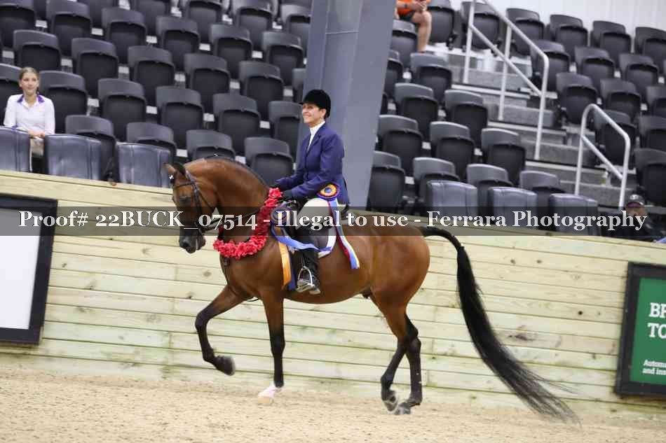 Proof 22BUCK_07514