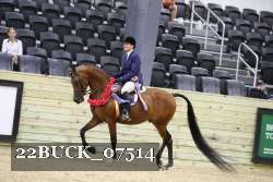 22BUCK_07514 proof