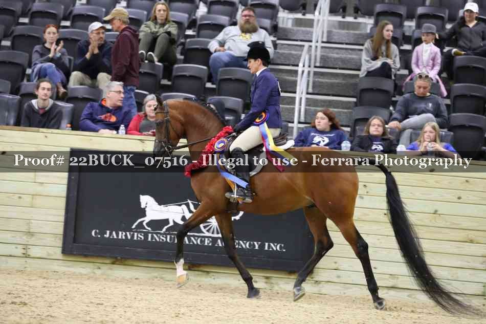 Proof 22BUCK_07516