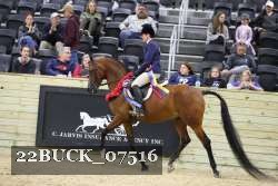 22BUCK_07516 proof