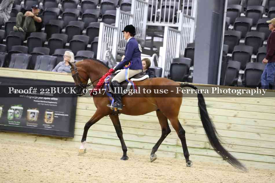Proof 22BUCK_07517