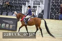 22BUCK_07517 proof