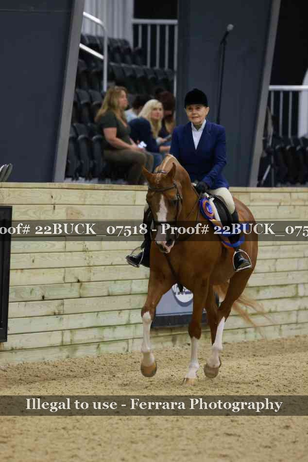 Proof 22BUCK_07518