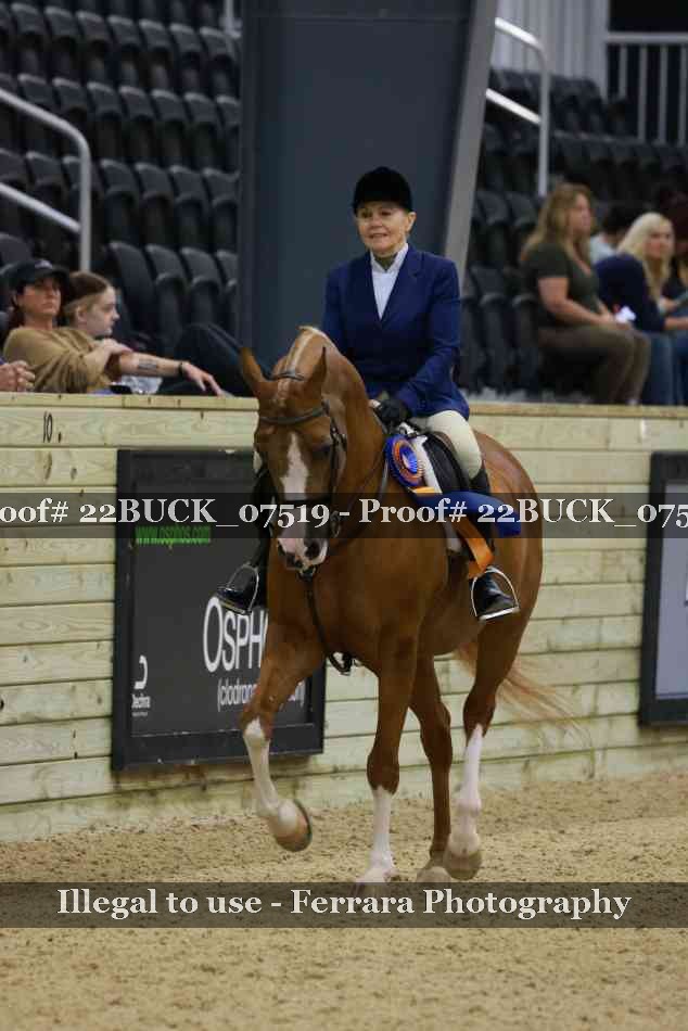 Proof 22BUCK_07519