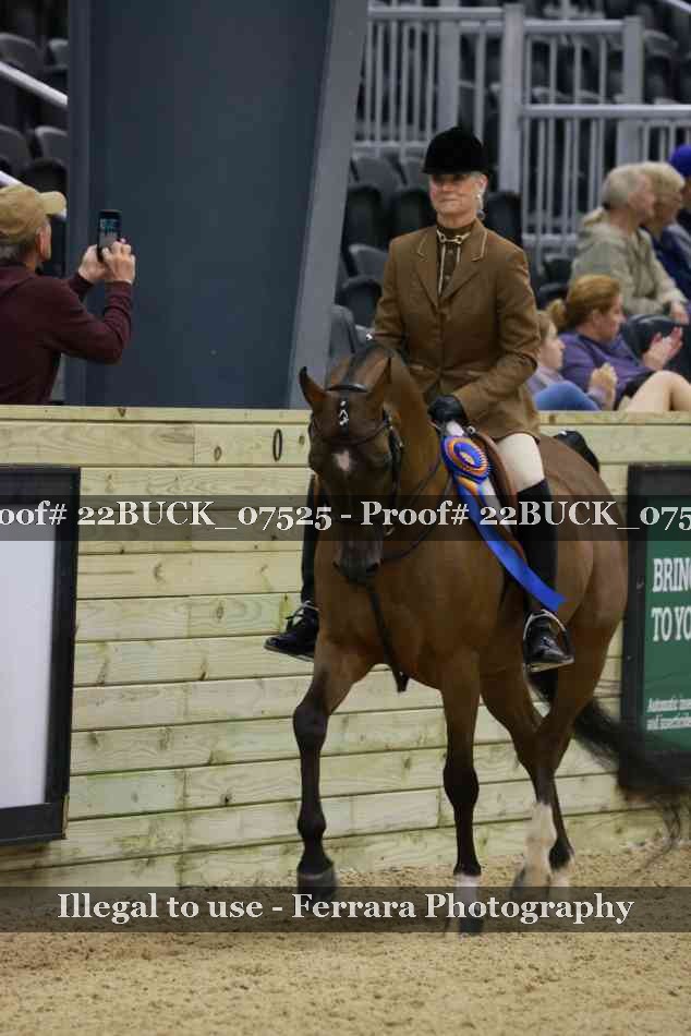 Proof 22BUCK_07525