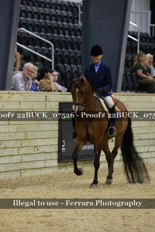 Proof 22BUCK_07526