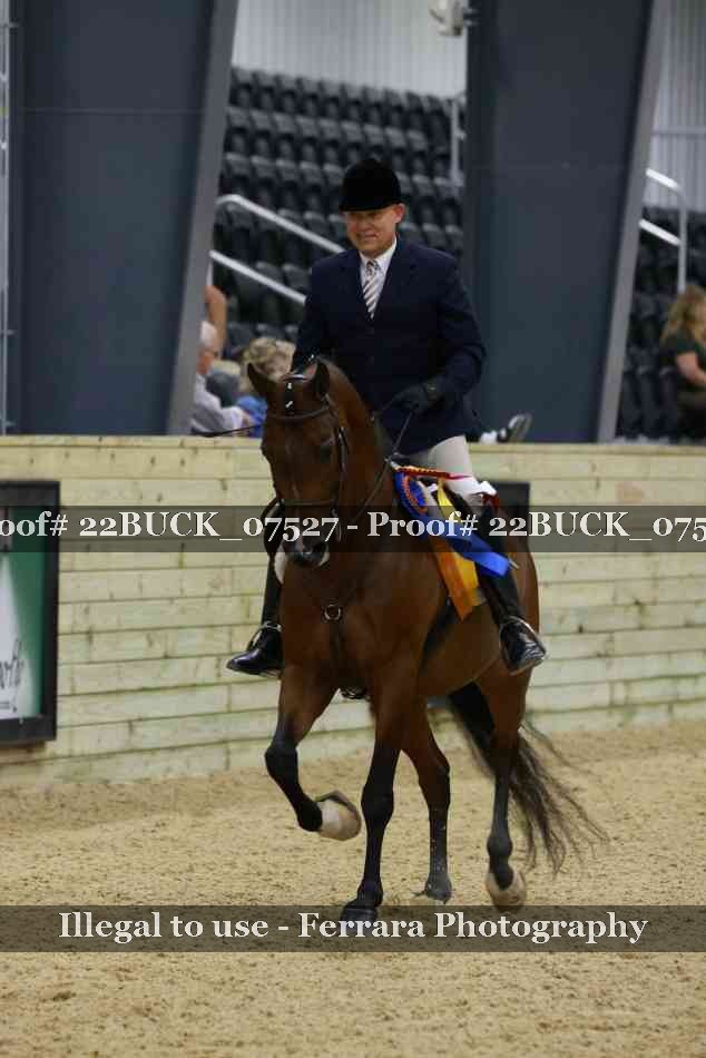 Proof 22BUCK_07527