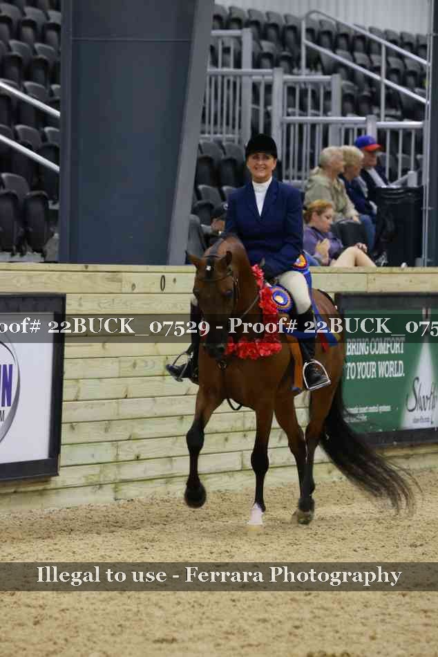 Proof 22BUCK_07529