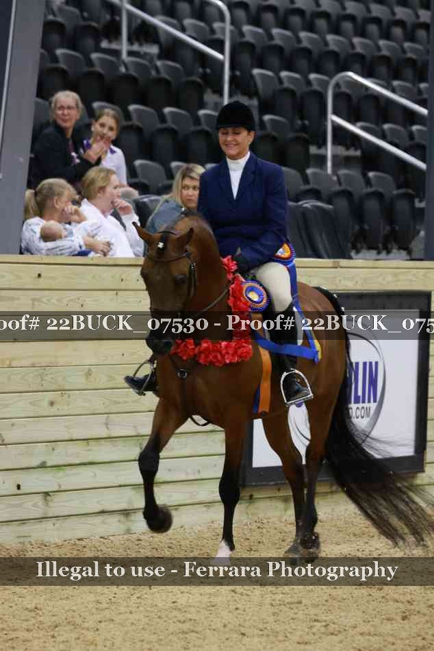 Proof 22BUCK_07530