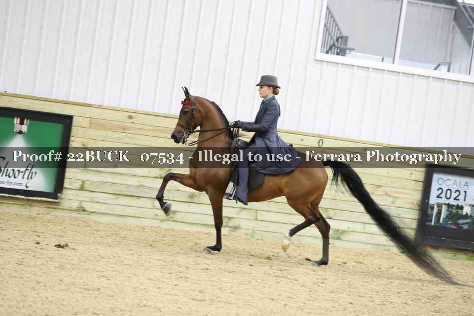 Proof 22BUCK_07534