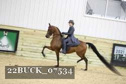 22BUCK_07534 proof