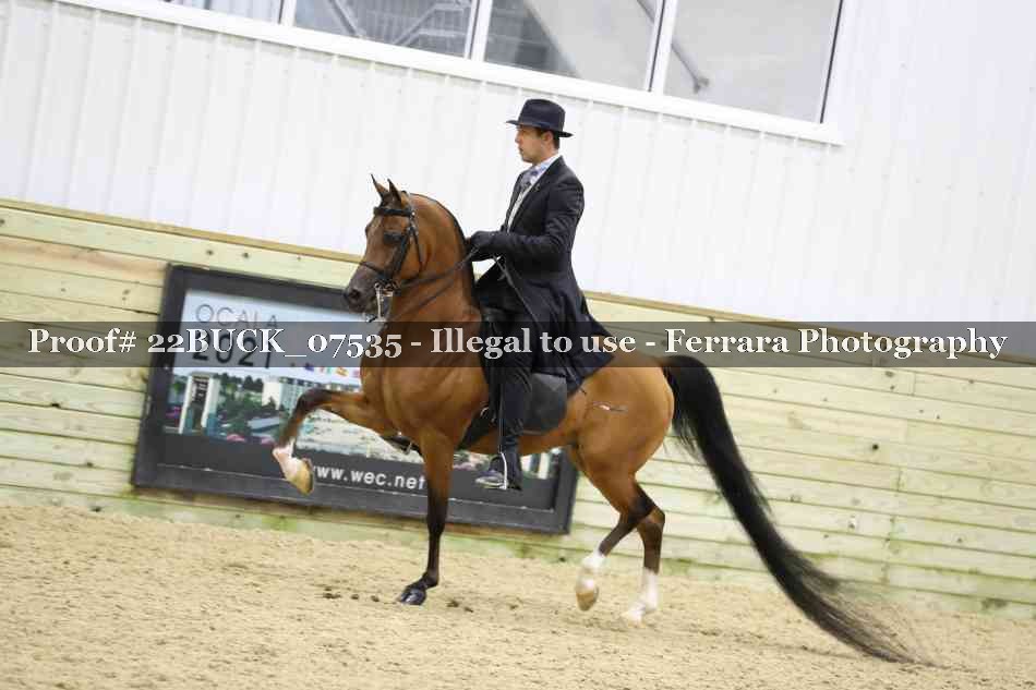 Proof 22BUCK_07535