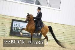 22BUCK_07535 proof