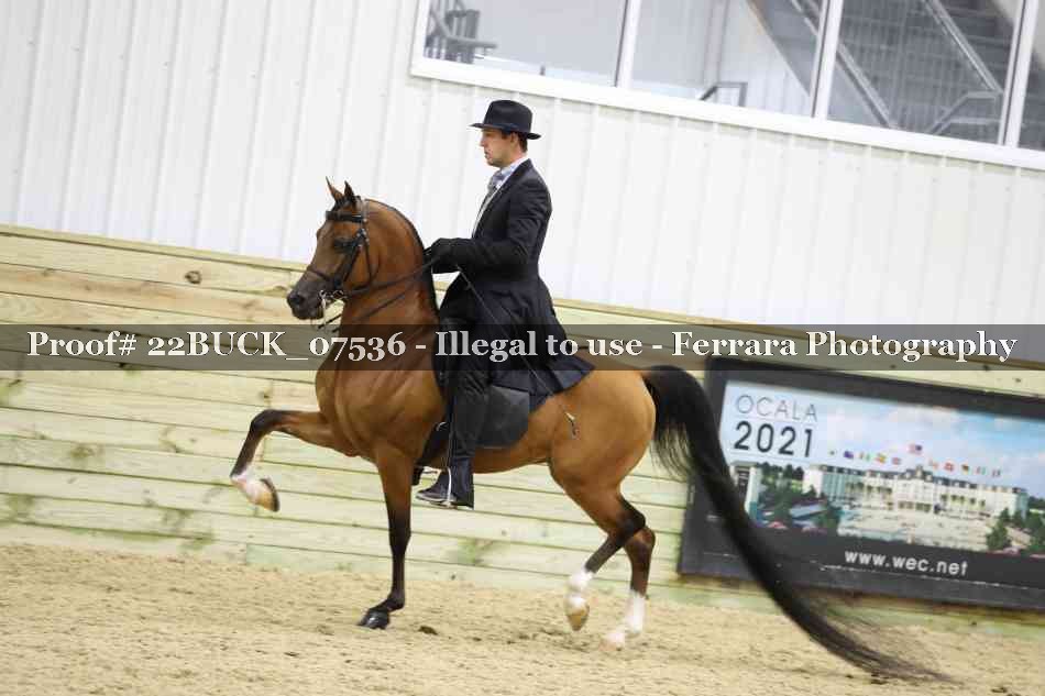 Proof 22BUCK_07536